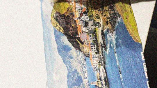 collage 2