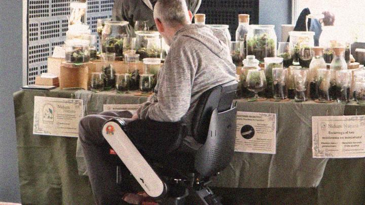 mercat vapor octubre